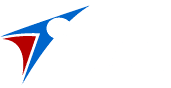 Logo DINA